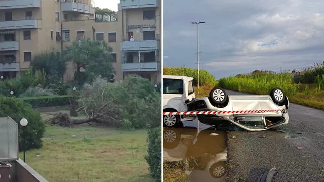 Livorno, tromba d'aria: alberi caduti e macchine ribaltate. Le immagini incredibili