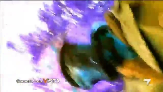L'Aria che Tira (r)
