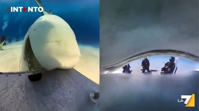 Squalo inghiotte telecamera subacquea: il video mozzafiato dalle Bahamas