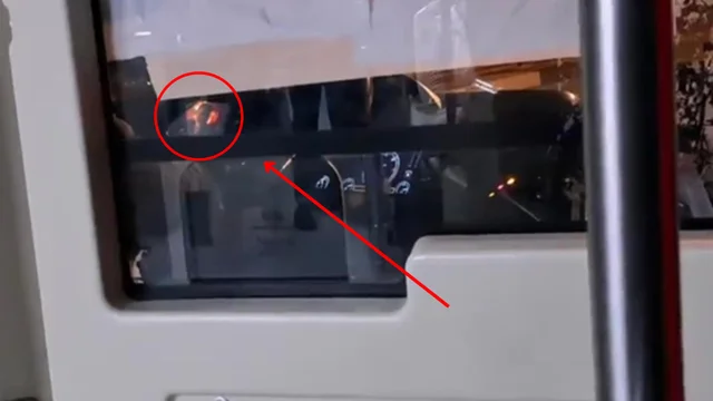 Roma, follia su un autobus: autista guarda un video mentre guida