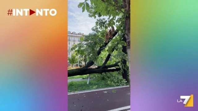 Esondazione del Seveso a Milano: il video