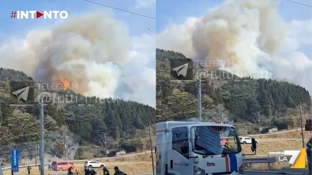 Incendio boschivo a Ofunato, Giappone: evacuate oltre 2.000 persone