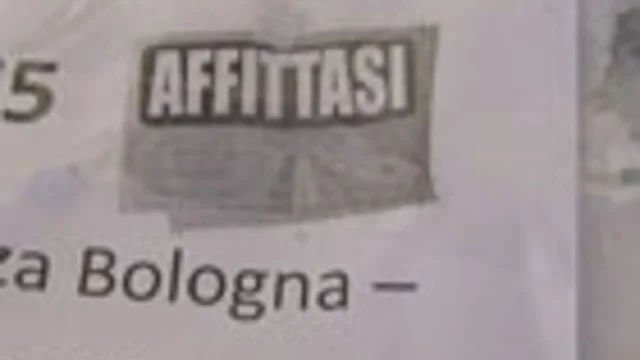 Cerchi affitto? Solo in nero
