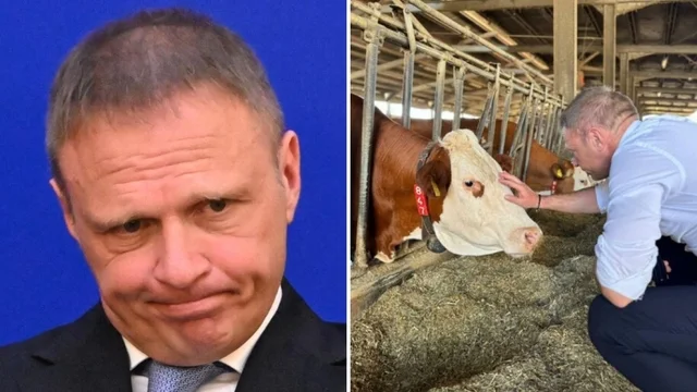 Lollobrigida: "Benessere animale si verifica chiedendo direttamente a loro”