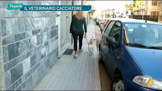 il Veterinario Cacciatore