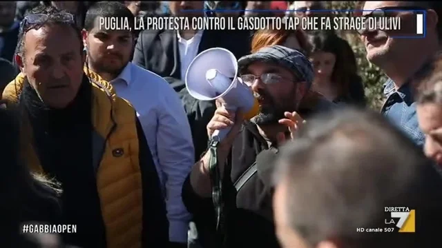 Puglia, la protesta contro il gasdotto TAP che fa strage di ulivi