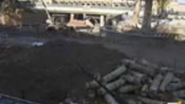 Parma, sei mesi dopo