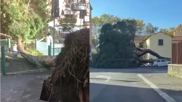Dramma a Roma durante la tempesta di vento, donna muore colpita da un albero