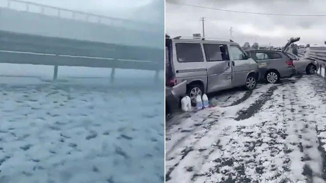Foggia, grandinata impressionante nel pomeriggio: distrutti campi di pomodoro e vigneti. Il video