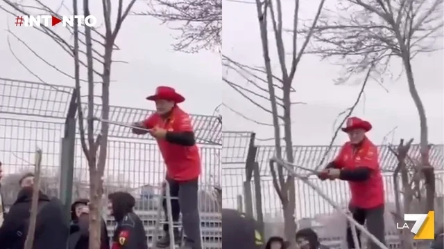 Euforia Ferrari: un tifoso taglia un albero per vedere meglio la SF-25