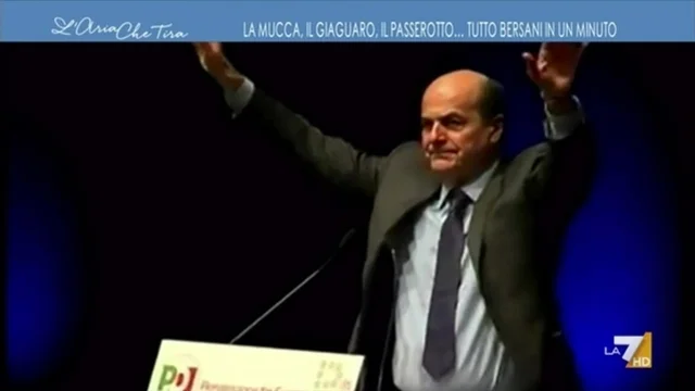 La mucca, il giaguaro, il passerotto... tutte le metafore di Pier Luigi Bersani in un minuto