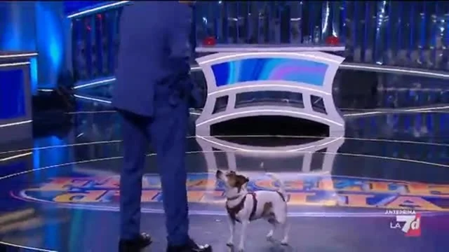 Famiglie d’Italia - Puntata del 30/12/2024