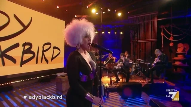 Summertime - Lady Blackbird