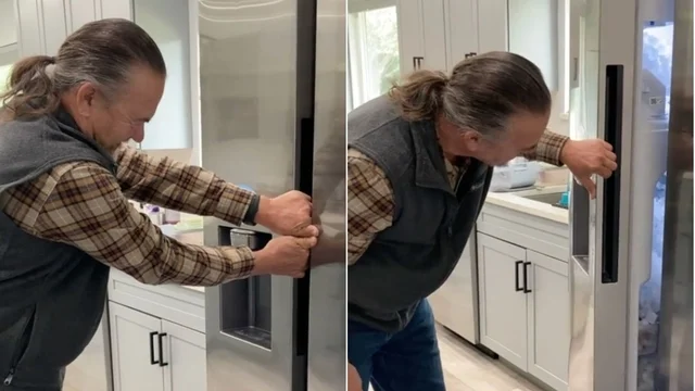 Torna a casa dopo quattro mesi e apre il frigo: un disastro inaspettato
