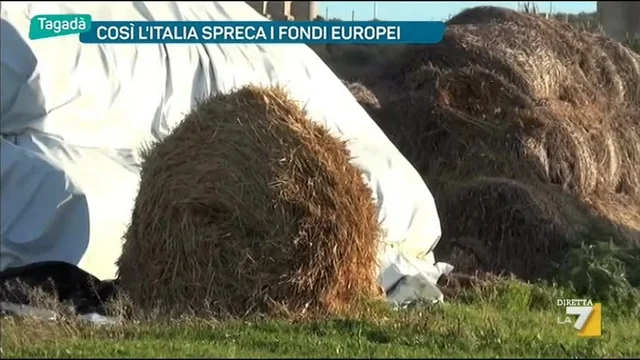 Così l'Italia spreca i fondi europei