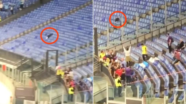 Lazio-Fiorentina, l'aquila Olimpia vola nella curva sbagliata: la reazione dei tifosi è surreale