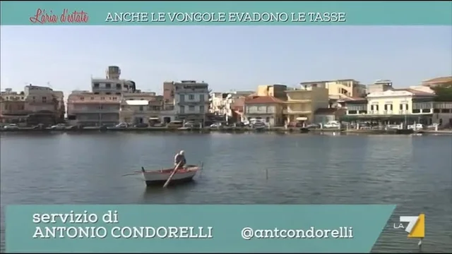 Anche le vongole evadono le tasse