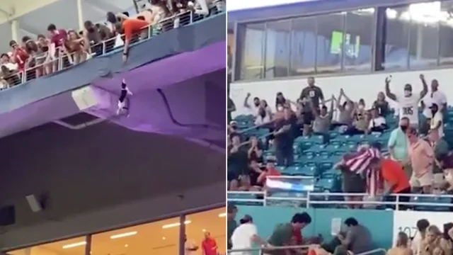 Il gatto cade dagli spalti dello stadio durante la partita di football: i tifosi lo salvano