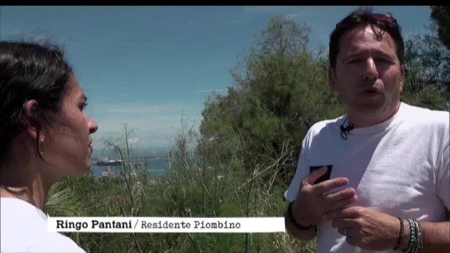 Rigassificatore di Piombino: impatti, criticità e prospettive