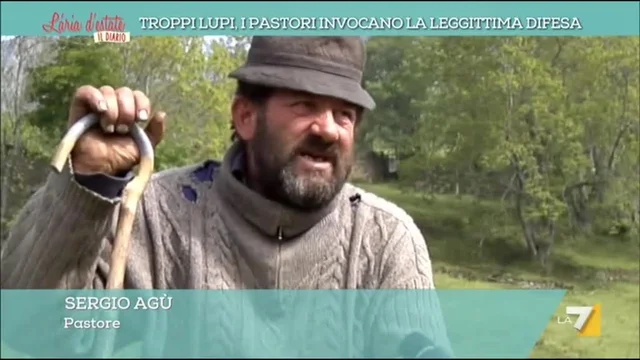 Troppi lupi, i pastori invocano la legittima difesa