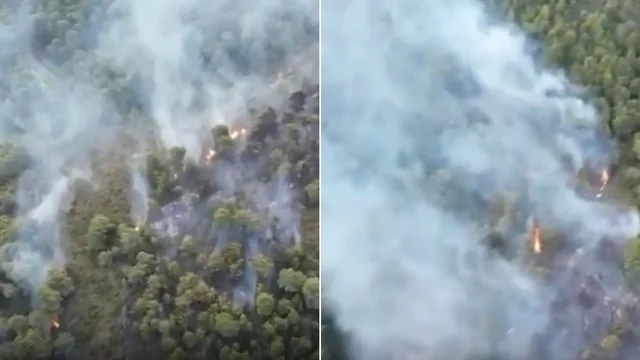 Incendio a Vieste: fiamme nel bosco di Baia San Felice: paura per il forte vento, oltre mille turisti in fuga