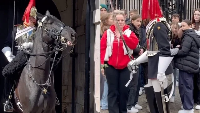 Le guardie reali perdono la pazienza, i video spopolano