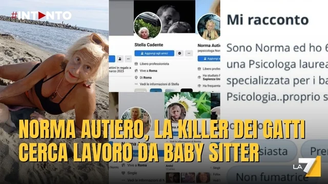 Norma Autiero, la “serial killer dei gatti” ora cerca lavoro come baby sitter: allarme sui social