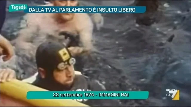 Dalla Tv al Parlamento è insulto libero