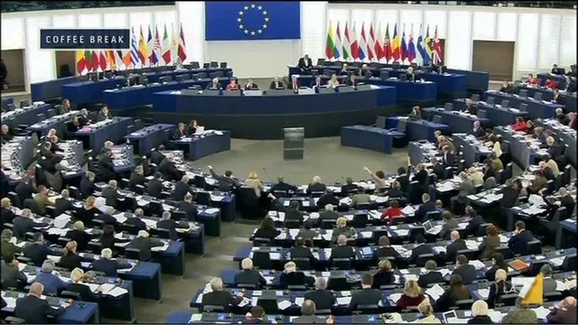Il Parlamento Europeo