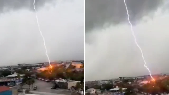 Fulmine colpisce ripetutamente un albero: il video è virale
