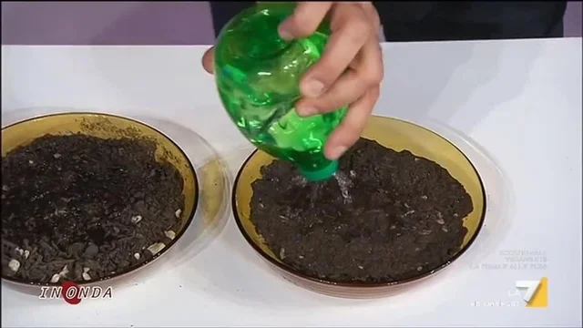 Cosa succede quando c'è siccità? La dimostrazione in studio
