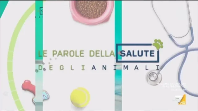 Zecche e Pulci, una vera insidia per cani e gatti