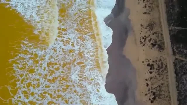 Il Mar Nero si tinge di giallo: il video curioso è stato girato in Crimea