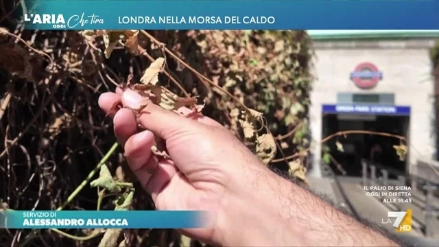 Londra nella morsa del caldo