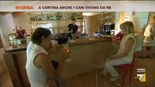 Cortina, anche i cani vivono da re
