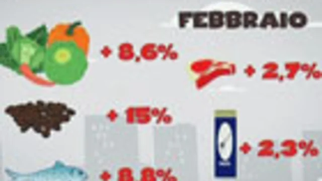 PREZZI SU, CONSUMI GIU'