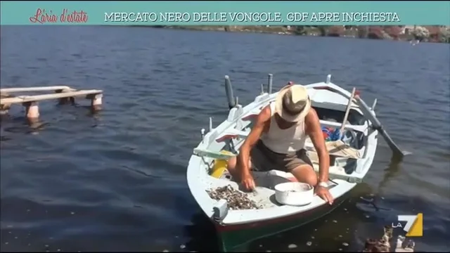 Mercato nero delle vongole, Gdf apre inchiesta
