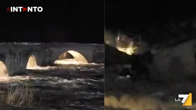 Il fiume in piena fa crollare un ponte romano a Talavera de la Reina