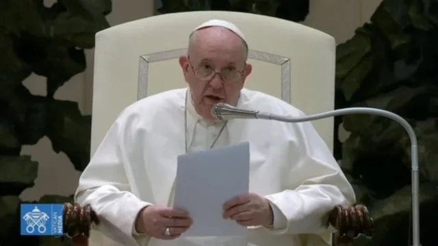 Papa Francesco: "Tante coppie hanno cani e gatti che occupano il posto dei figli"