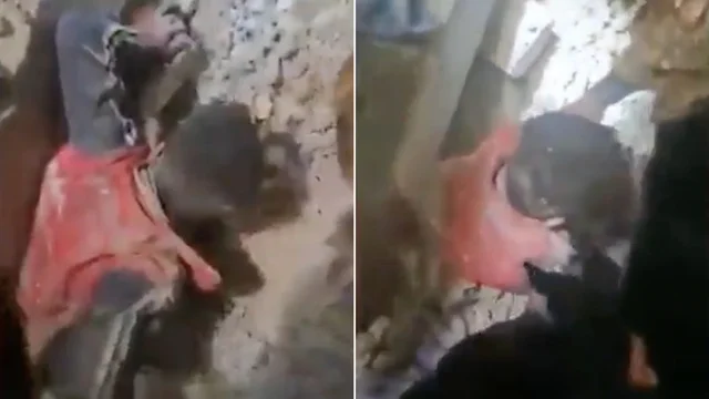 Terremoto in Turchia e Siria: il video drammatico del bimbo salvato dalle macerie