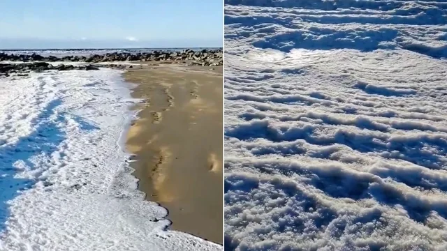 Il mare congelato dalle temperature estreme: il video del fenomeno impressionante dalla Terra del Fuoco