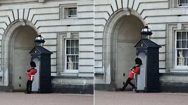 Buckingham Palace, guardia reale cade durante la marcia: il video di un turista