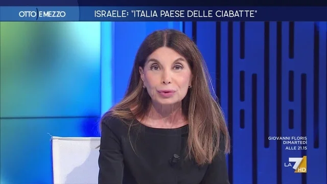 Sattanino: "Per Meloni giocare con gli incendiari è pericoloso"