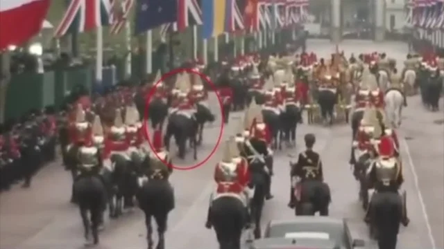Incoronazione Re Carlo III, il cavallo si ribella alla Guardia reale: paura tra la folla