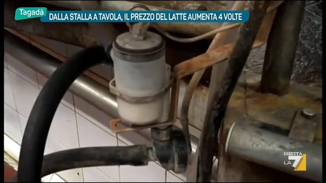 Dalla Stalla a Tavola, il prezzo del Latte aumenta 4 volte