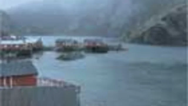 L'ARGENTO DELLE LOFOTEN