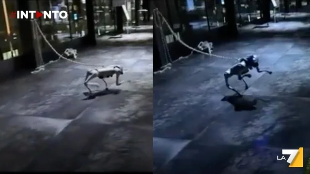 Tokyo, il cane-robot incatenato che lotta per la libertà: la provocatoria istallazione di Takayuki Todo - IL VIDEO