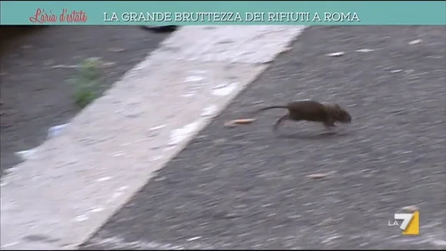 La grande bruttezza dei rifiuti a Roma