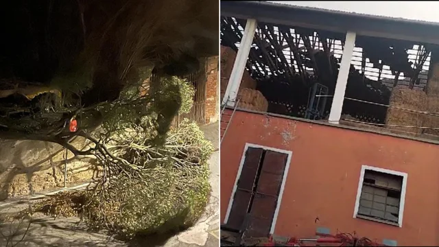 Maltempo, vento forte, caduta di alberi ed incendi nel torinese