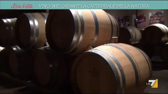 Vino, nel Chianti la cattedrale della natura